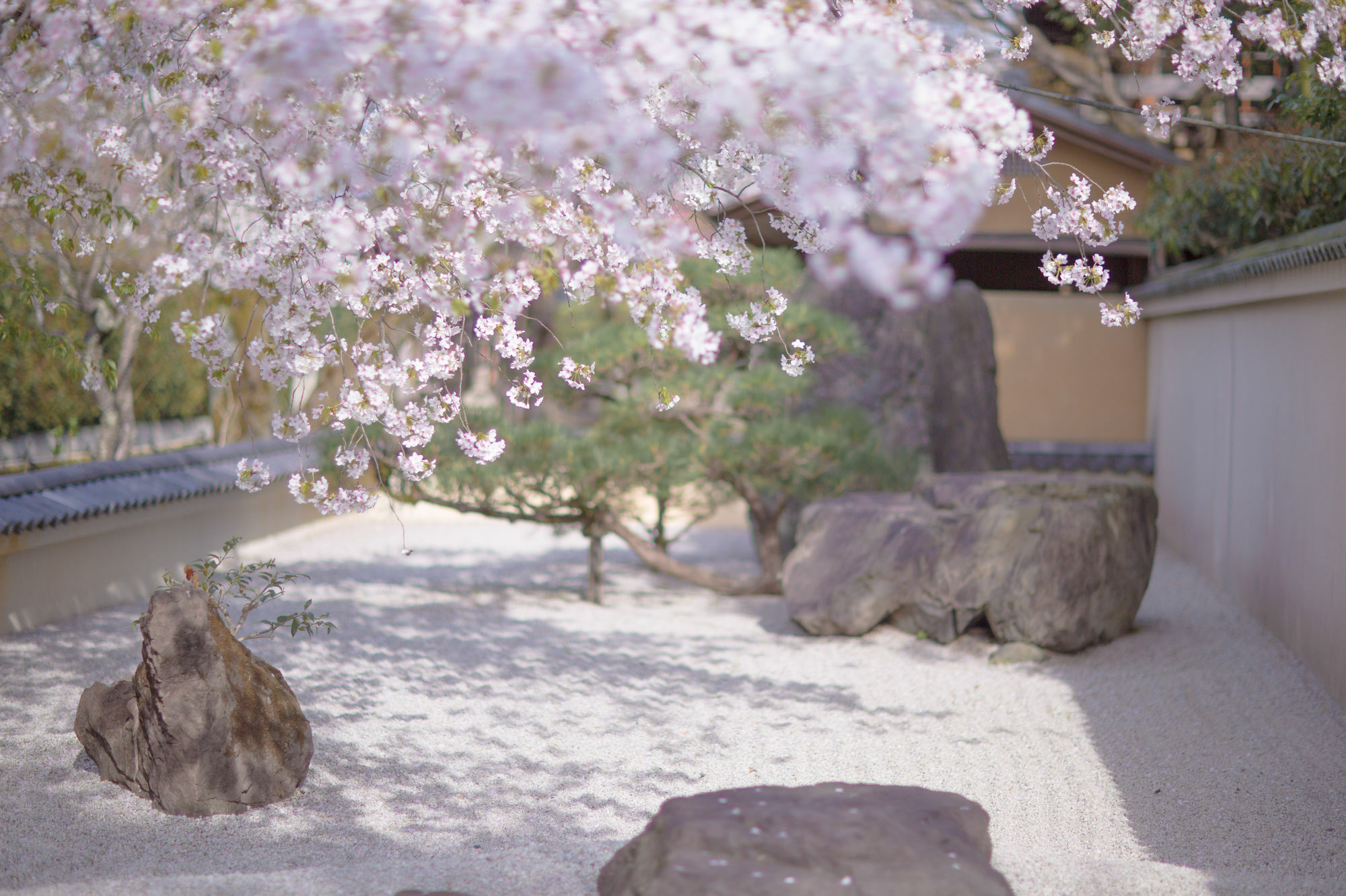 Kyoto Fushimi Ohana Muko ภายนอก รูปภาพ